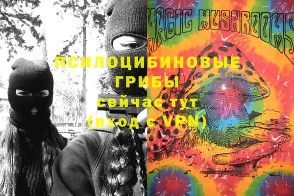 гашик Абинск