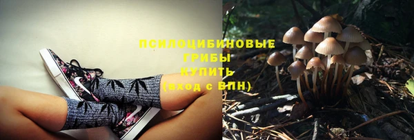 кристаллы Осинники
