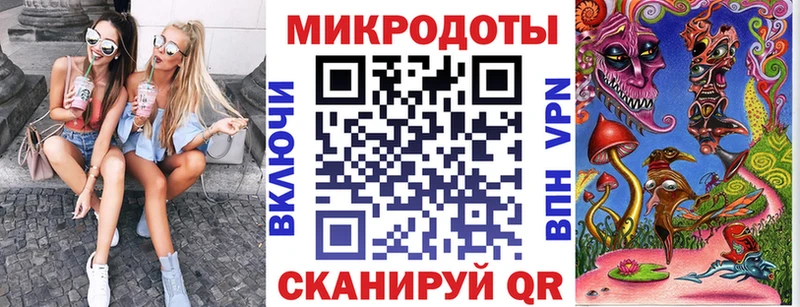 Псилоцибиновые грибы Psilocybine cubensis  это клад  Суоярви 